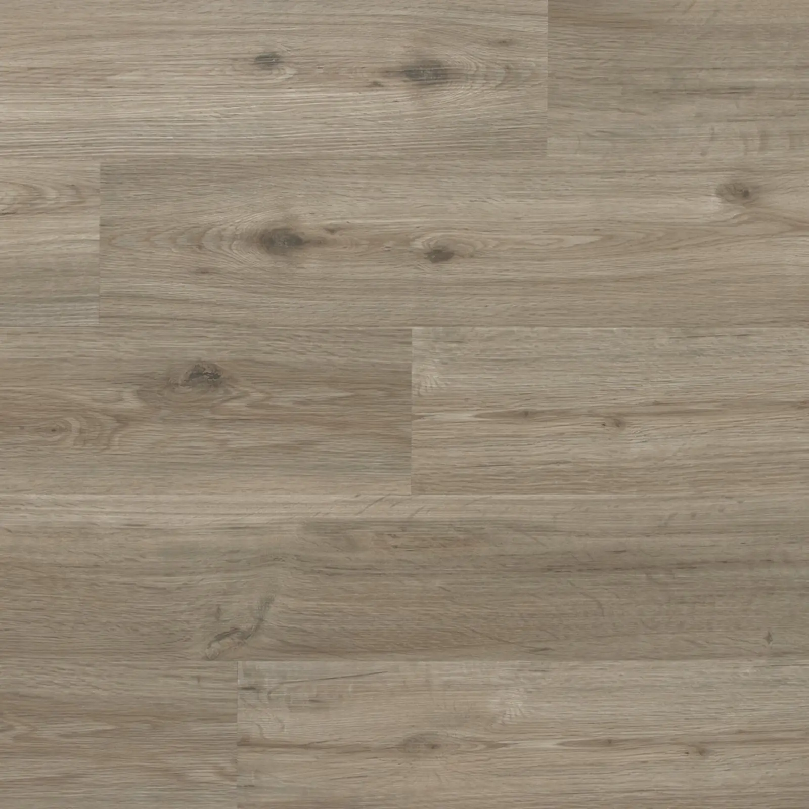 シークレットオブスノーウィデイ Amazon.co.jp: デイジーダック(スノー) ぬいぐるみ スノースノー