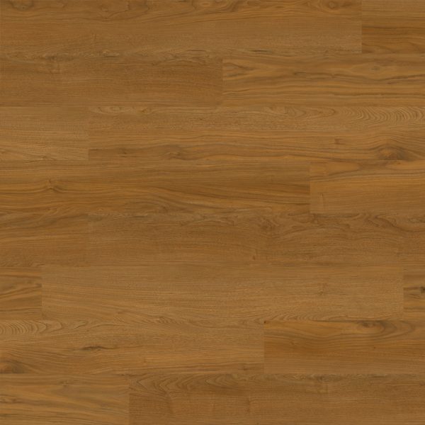Asian Walnut