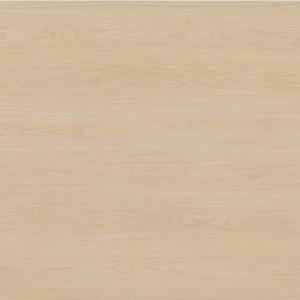 Desert Oak