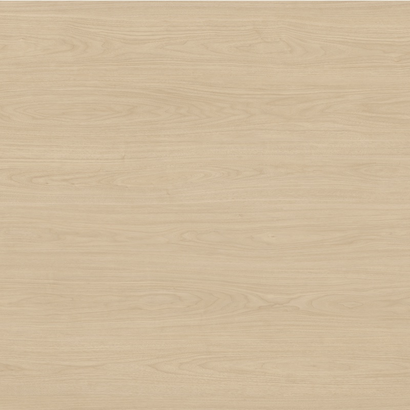 Desert Oak